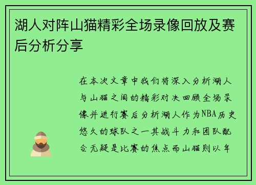 湖人对阵山猫精彩全场录像回放及赛后分析分享