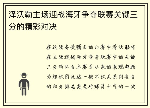 泽沃勒主场迎战海牙争夺联赛关键三分的精彩对决